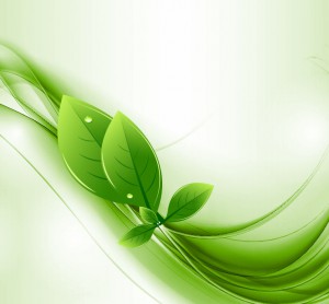 Eco Leaves and Green Wave Vector