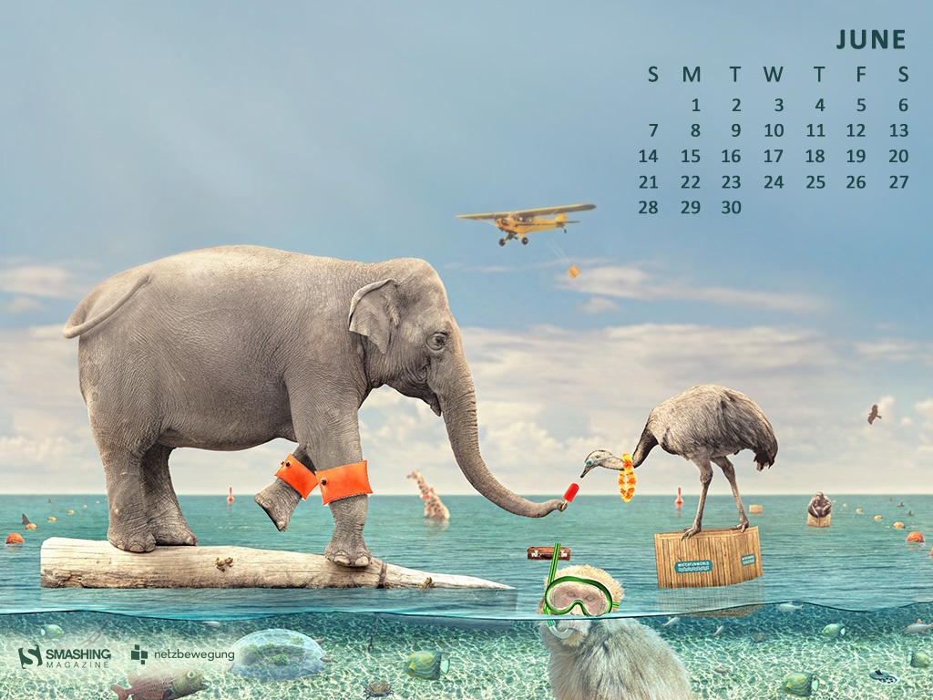 Kalender med djur som badar