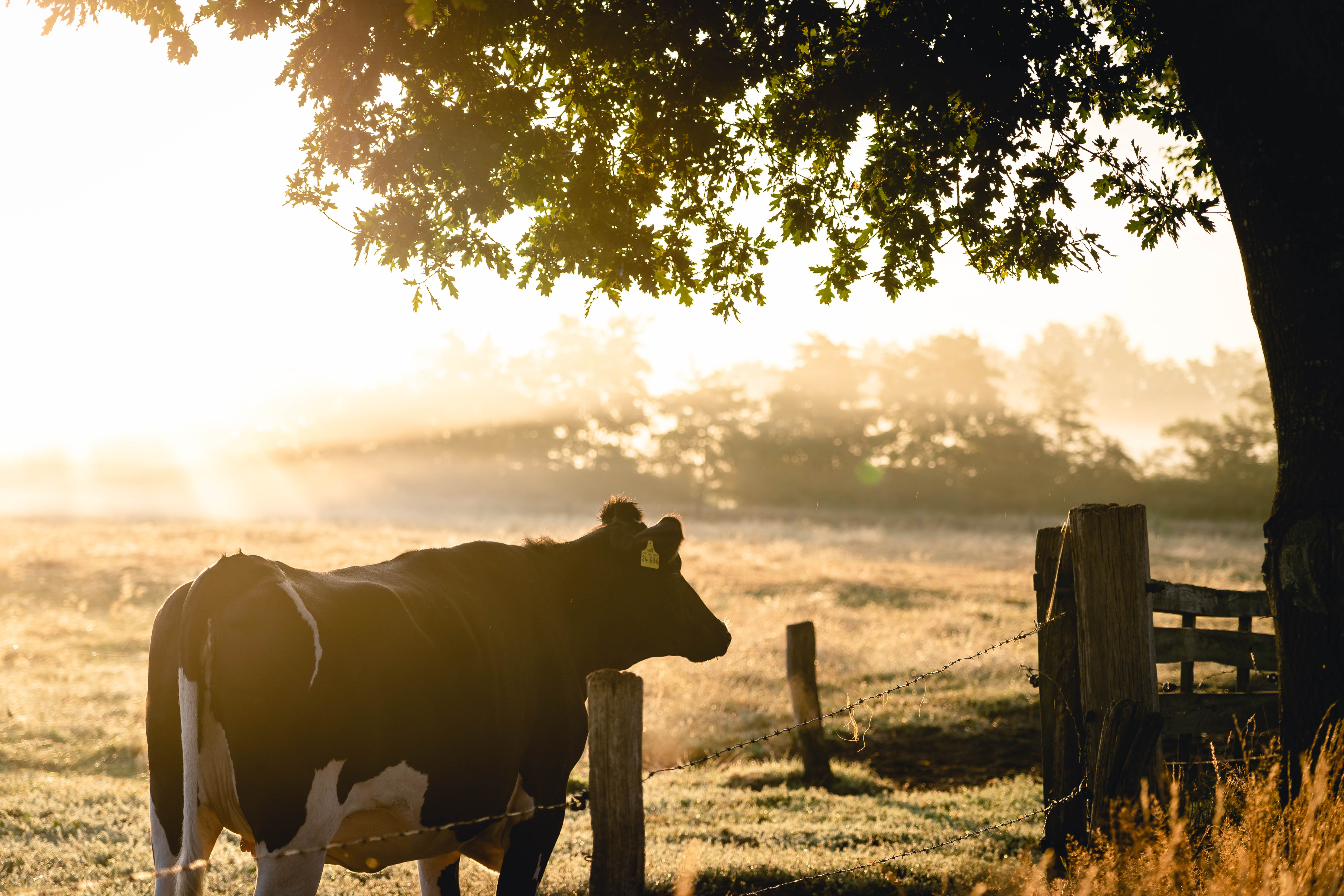 Knowit Connectivity team (2)