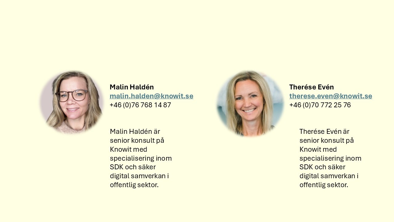 Presentation Malin Therese blogg-2